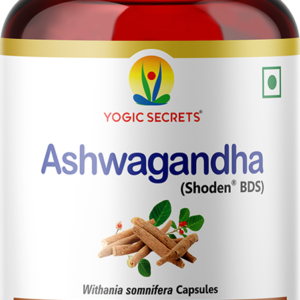 ashwagandha – powerful ayurvedic herb for wellness 🌿