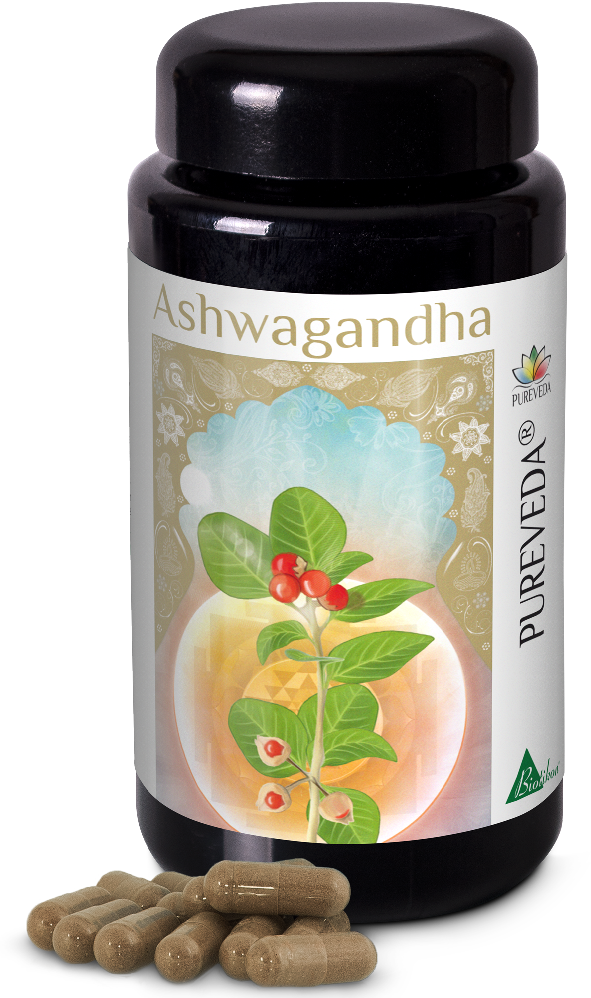 ashwagandha โ powerful ayurvedic herb for wellness ๐ฟ