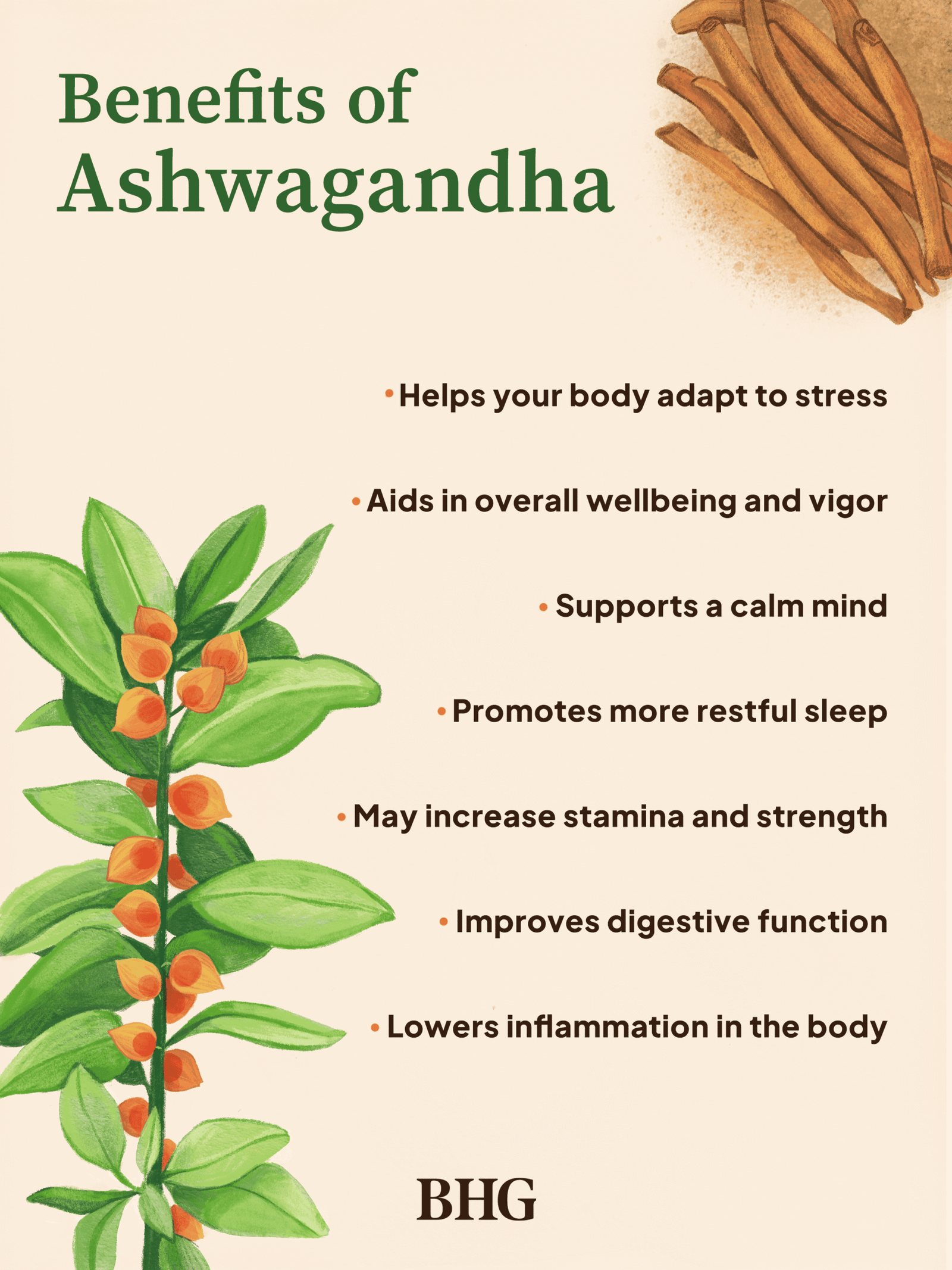ashwagandha โ powerful ayurvedic herb for wellness ๐ฟ